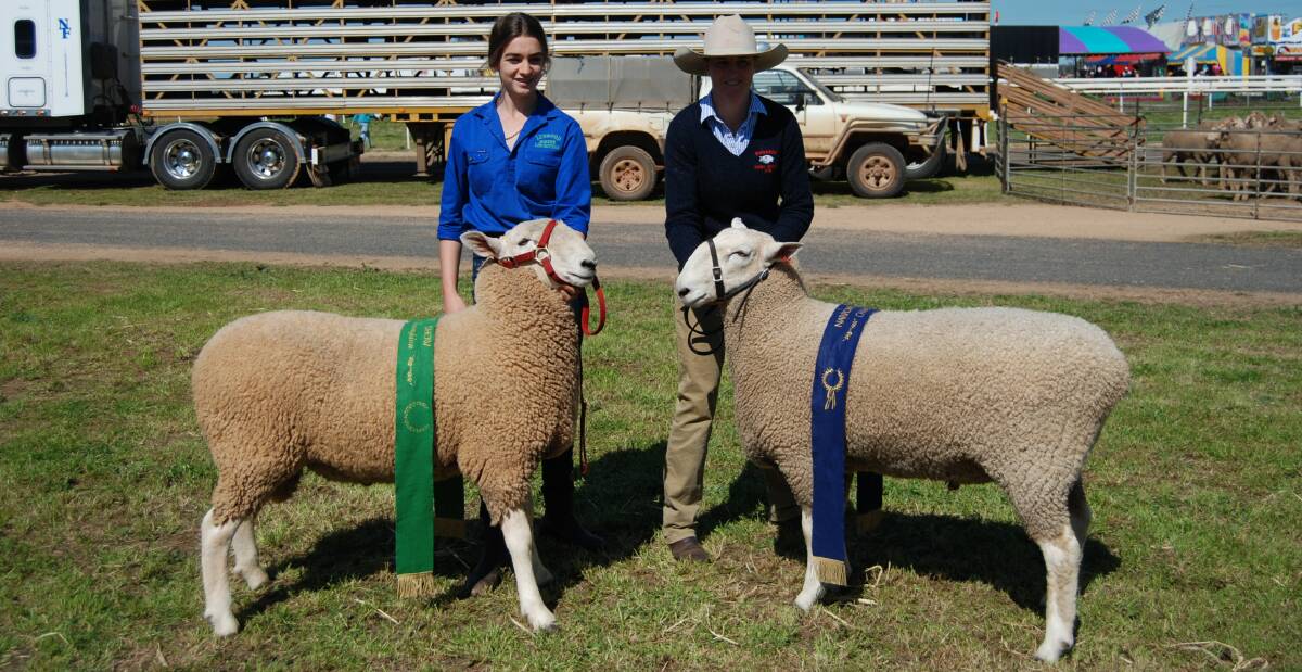 Kate Parkes from Lynwood Border Leicester Stud had the reserve champion exhibition. Rowena Sweeny and her Border Leicester from Bindaree took out the Champion. 