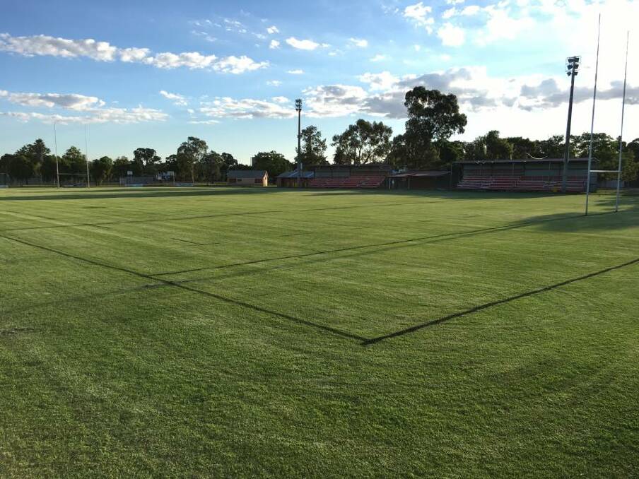 FINALS TIME: Finals footy is coming to Cale Oval. Photo: GORILLAS FACEBOOK PAGE. 