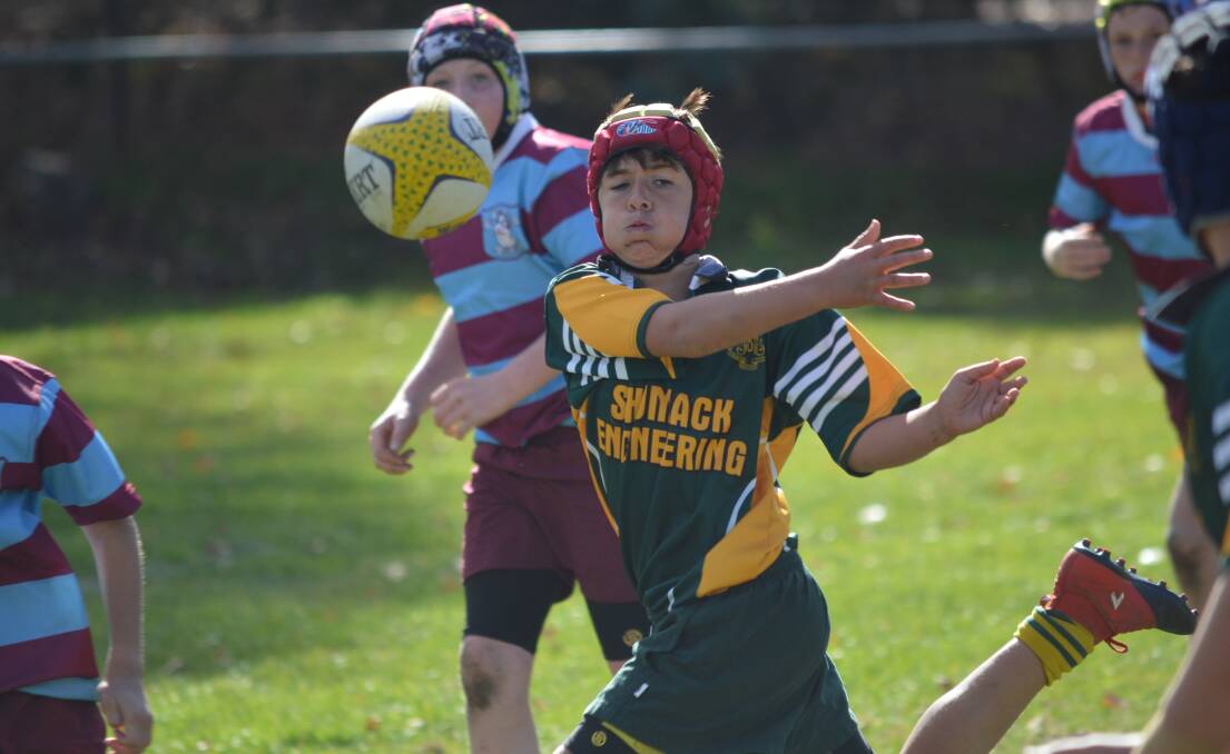 All the action from Endeavour Oval on Wednesday
