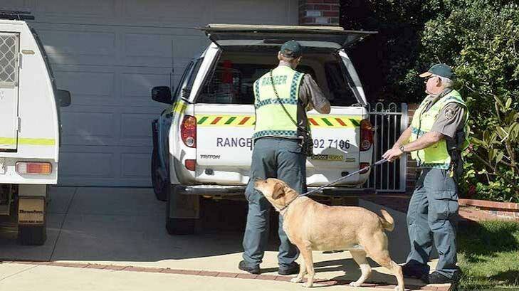 Local rangers removed the dog on Wednesday afternoon. Photo: James Taylor/Bunbury Mail