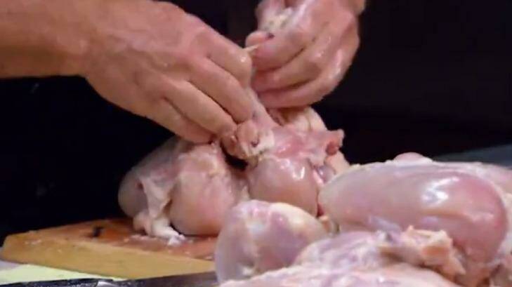 The Queenslanders dissected a chook, only to put it back together again.  Photo: Channel 7