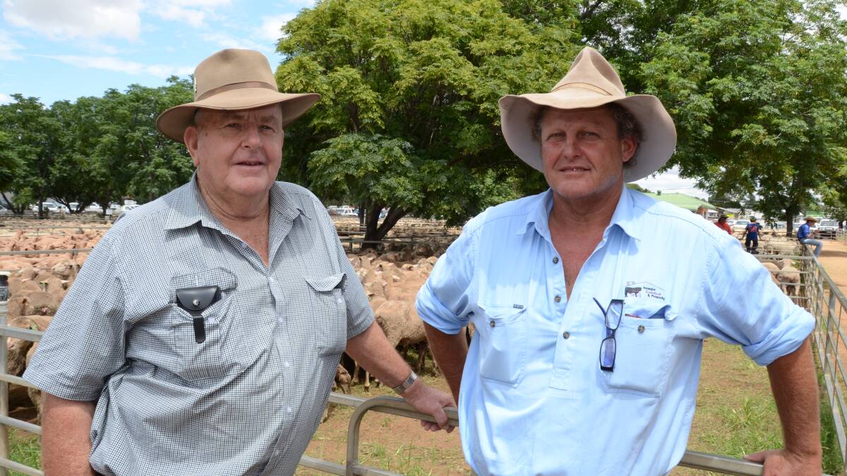 Jim Hamilton æNardooÆ Narromine chats with Sam Lawler of Trangie Livestock and Property in Trangie at the May 2015 sale.                                                                                                          Photo: FILE