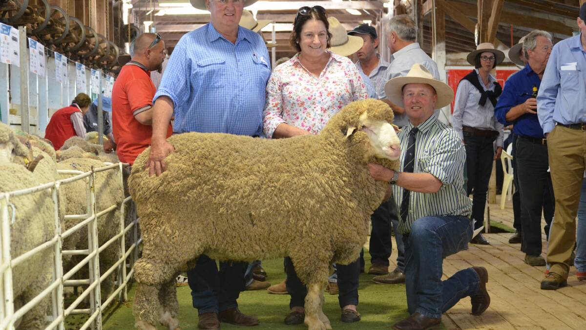o Dougal and Susan McLeish, Thurn Merinos, Coonamble with the  $6000 top-priced poll ram, and George Falkiner (Haddon Rig stud principal).
