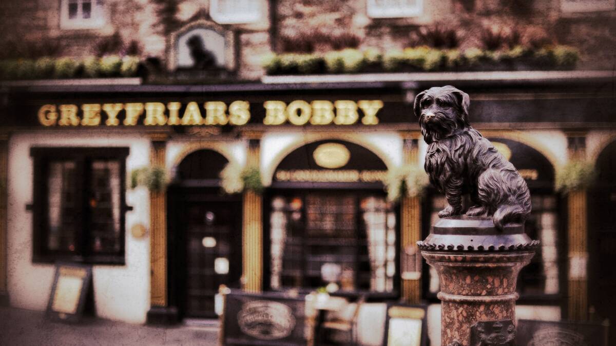 A view of Greyfriars Bobby statue on April 23, 2014 in Edinburgh, Scotland. Pic: Jeff J Mitchell/Getty Images
