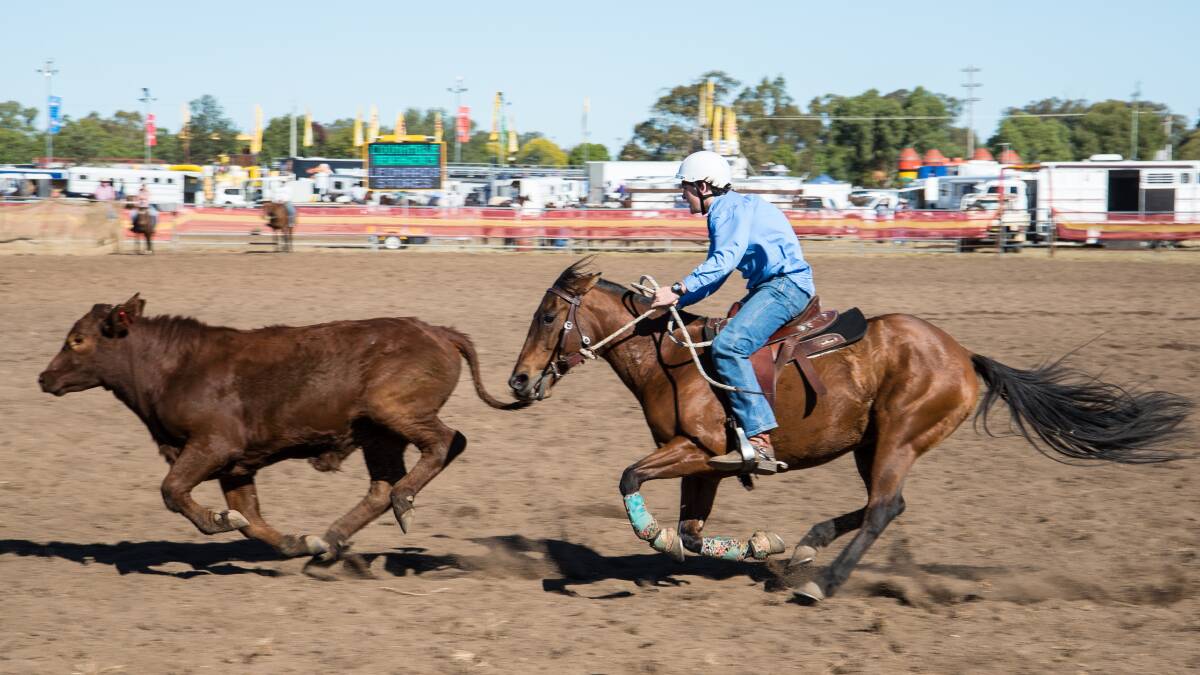 The Coonamble Rodeo & Campdraft will celebrate its 59th year. this June Long Weekend, with over 1000 horses and 4000 spectators 