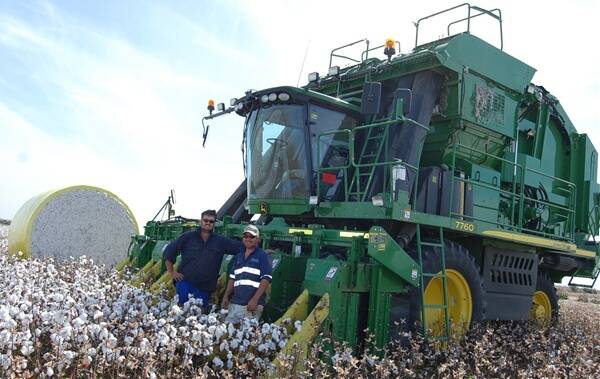 o Jake George and Scott Quigley kicked off the Macquarie Valley cotton harvest at Fairview over the holiday break.