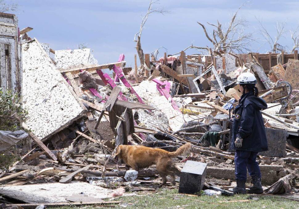 A recovery worker and cadaver dog search through the rubble after a tornado in Moore, Oklahoma May 21, 2013. Photo: REUTERS/Richard Rowe