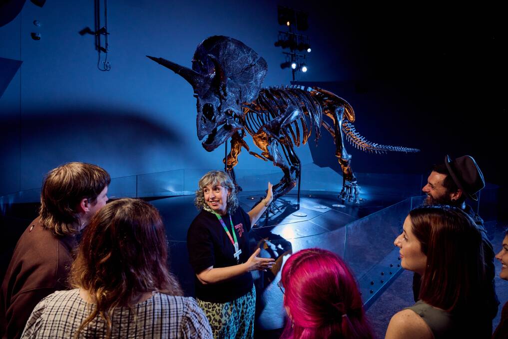 Night at the museum. Night at the museum.