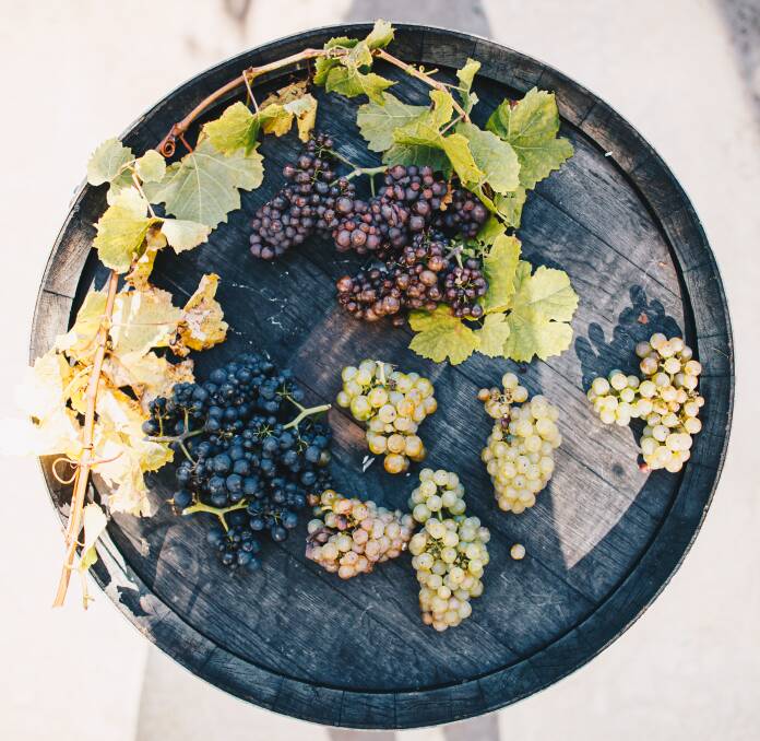 Offerings at Ghost Rock Wines. Picture: Ness Vanderburgh Offerings at Ghost Rock Wines. Picture: Ness Vanderburgh