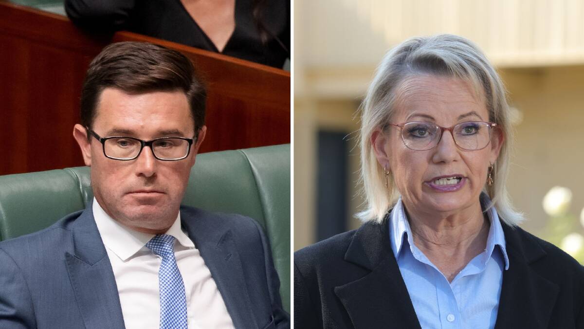 Nationals leader David Littleproud and Liberal leader Sussan Ley. Pictures Sitthixay Ditthavong and Phoebe Adams