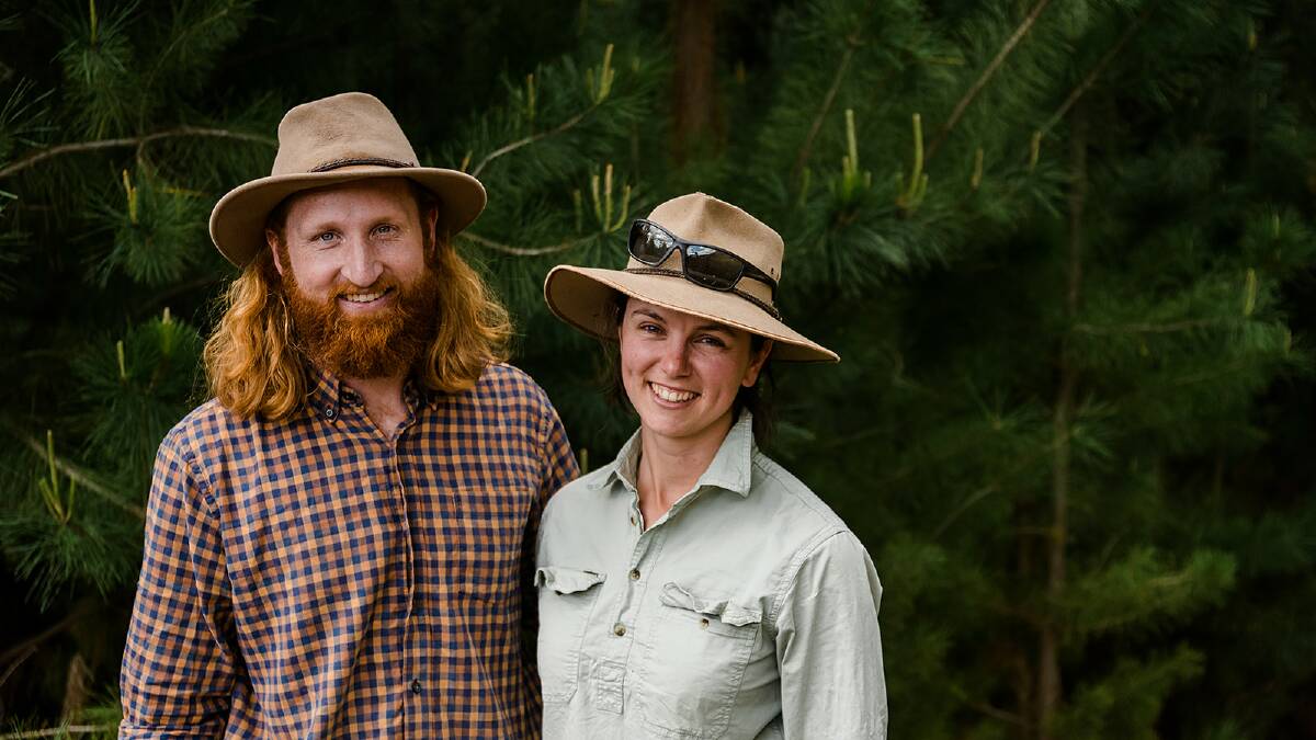 Lachlan Hamilton and Hanna McCreath at their pig farm at Beechworth in north-east Victoria. Picture supplied