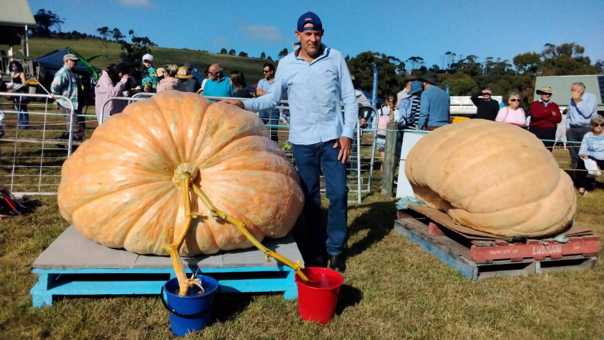 GIANT FEAT: Shane Newitt with CJ the five foot six inches wide pumpkin. Picture: Supplied