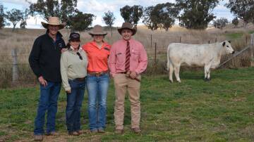 Denis and Louise Saint, Oakey Creek Speckle Parks, Manilla, their daughter Julie Abra and Elders auctioneer Lincoln McKinlay with the top-priced heifer that Celia McKay bought for $30,000.