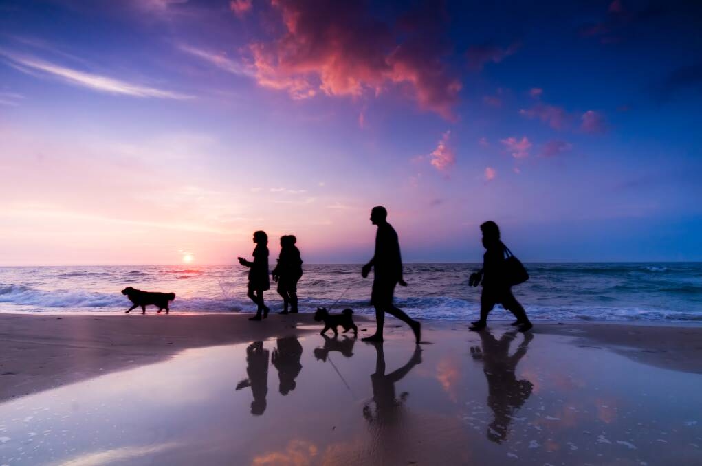 TRAVEL INSURANCE: Preparation is the key to a safe, happy journey with our companion animals. 