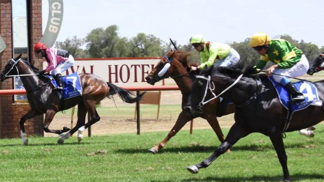 Alotafox: Falls short against stablemate Moon Over Menah (pink and black silks) at Gilgandra on January 1. Photo: AMY MCINTYRE