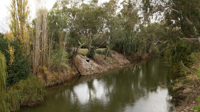 GET ON WITH IT: Narromine Shire Mayor Craig Davies is hopeful of having a levee bank in place by September of 2020. Photo: FILE