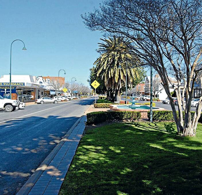 DROUGHT: The council have hit back at criticisms for the upkeep of public ammenteties. Photo: NARROMINE NEWS