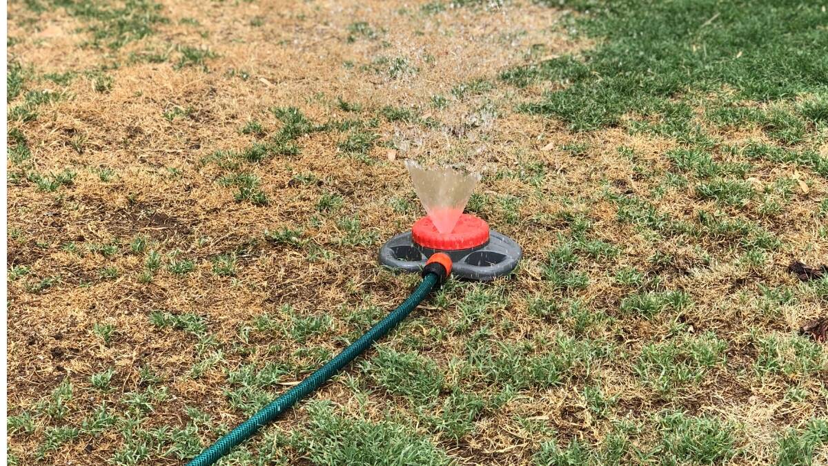 RESTRICTIONS: With drought gripping the state and temperatures rising, the Narromine Shire Council have announced level three water restrictions for Narromine. Photo: ZAARKACHA MARLAN