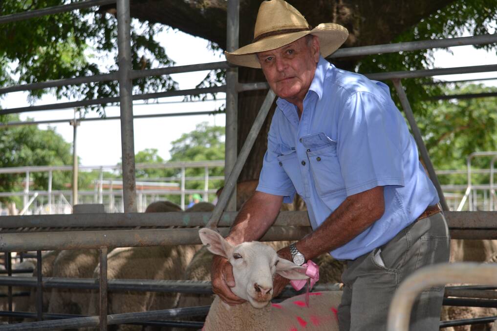 EWE BEAUTY: Auctioneer Peter Cruikshank with one of the pen of sheep sold to raise money for The McGrath Foundation. Photo: CRAIG THOMSON