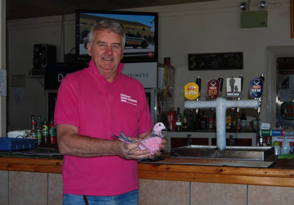 WORTHY CAUSE: Pink Pigeon Festival event organiser Shane Dolton with racing pigeon Glenn McGrath. Photo: ZAARKACHA MARLAN
