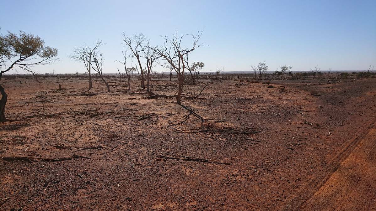 Drought funds flowing for Narromine