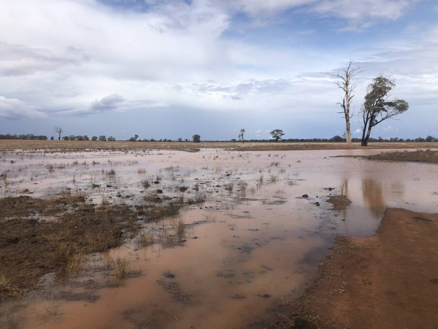 A START: A soggy 24 millimetres was captured here on a property after a heavy storm pelted down over Narromine recently. Photo: CONTRIBUTED