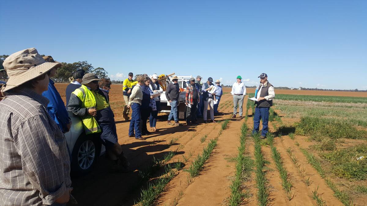 Informative: NSW DPI research and development agronomist, Greg Brooke (pictured). will discuss wheat phenology. Photo: Supplied.