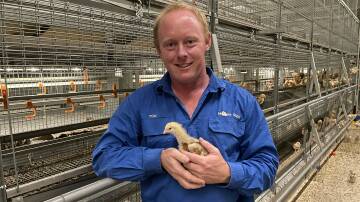 Tom Moore, Tenterfield, is an early adopter of smart, effective bird rearing equipment that works with natural behaviour, rather than against it.