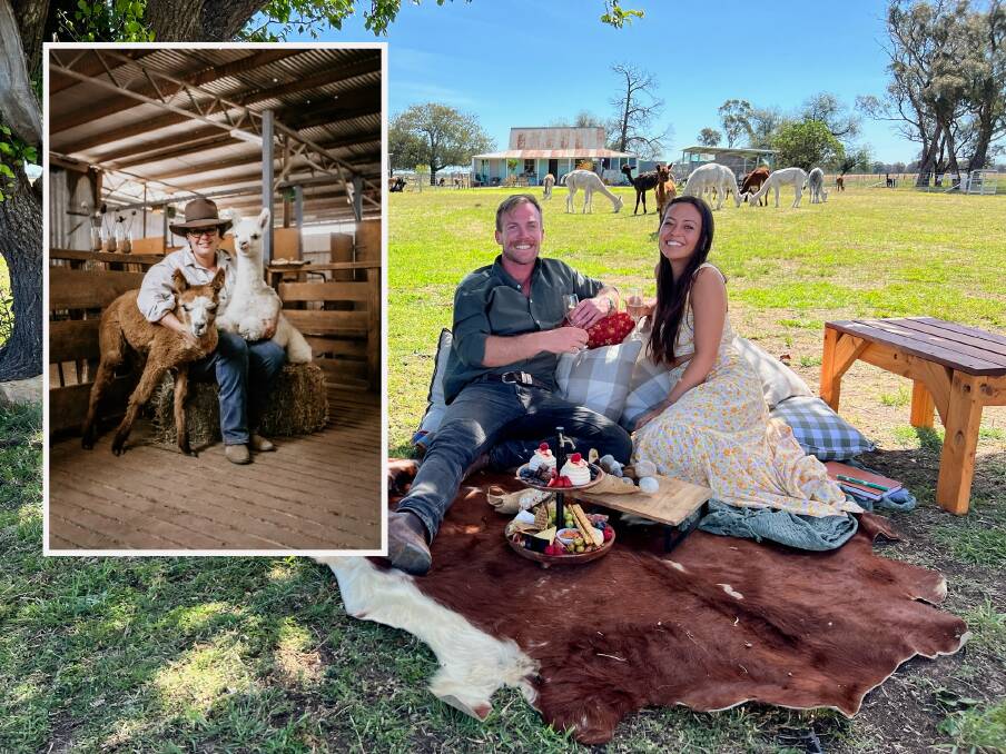 Farmer David and Alyssa go on a date on Farmer Wants a Wife season 13, with (inset) Amee Dennis, founder of Quentin Park Alpacas & Studio/Gallery, where part of the episode was filmed. Picture supplied and (inset) by Nicole Drew Photography