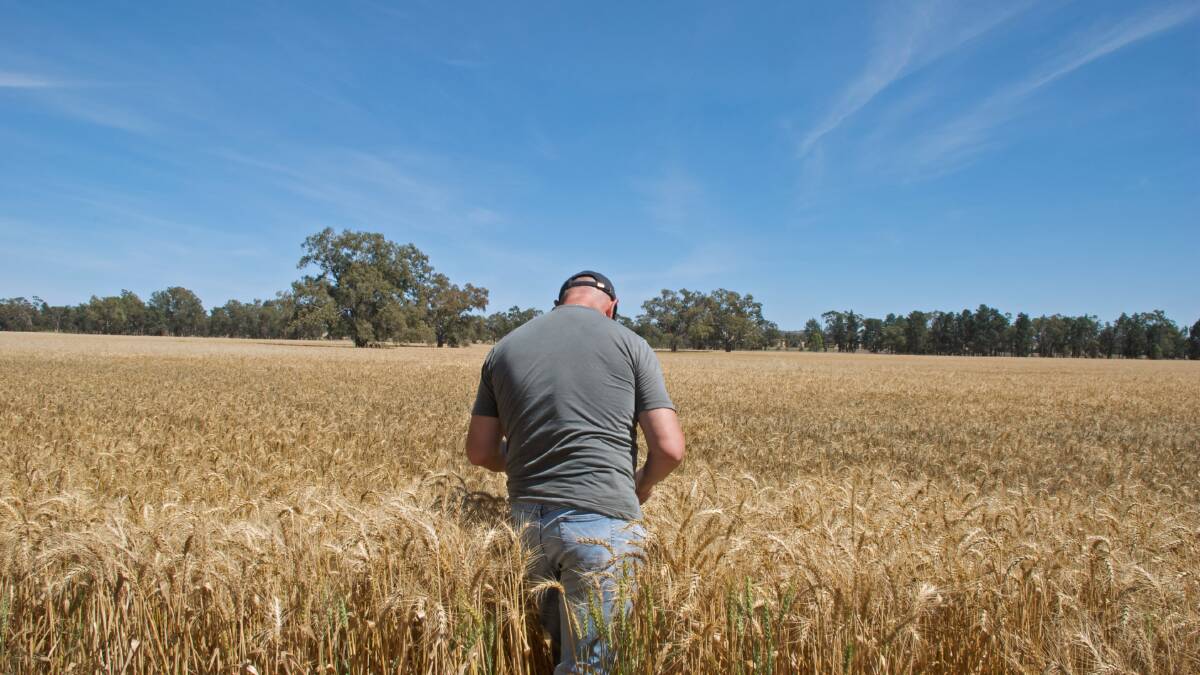 Dry conditions results in farmer confidence falling to its lowest level in five years