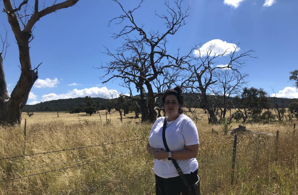 Ngarigo Elder Michelle Francis in front of dead ribbon gums near Berridale, NSW. Picture: Tom Melville
