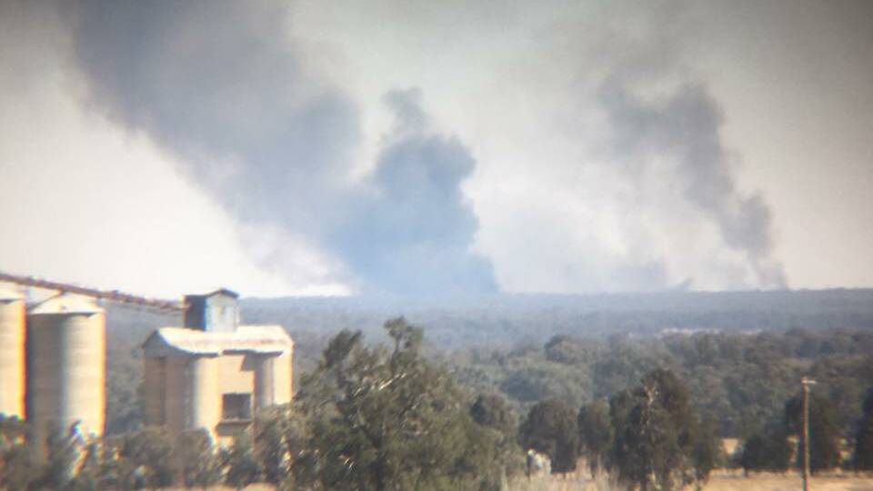 SMOKE: The Goonoo Forest burns about three weeks ago. Photo: NSW RFS