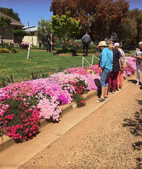 Visitors admiring the footpath of Kath and Don Cross's lovely Narromine garden. Photo: Contributed