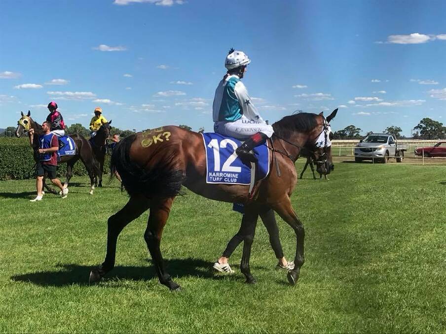 PART OF IT: The Kylie Kennedy-trained Whinna Whiskey bore the R U OK? logo on Sunday. Photo: FACEBOOK