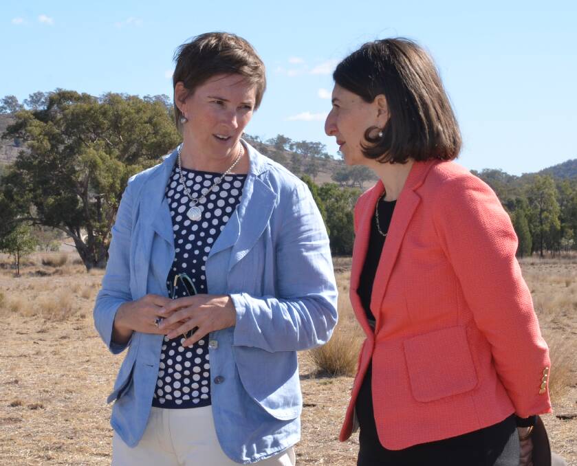 NO EASY TASK: Pip Job has helped drive the Berejiklian government's response to the drought in NSW since May. She will now be replaced by NSW Land and Water Commissioner Jock Laurie. Photo: JENNIFER HOAR