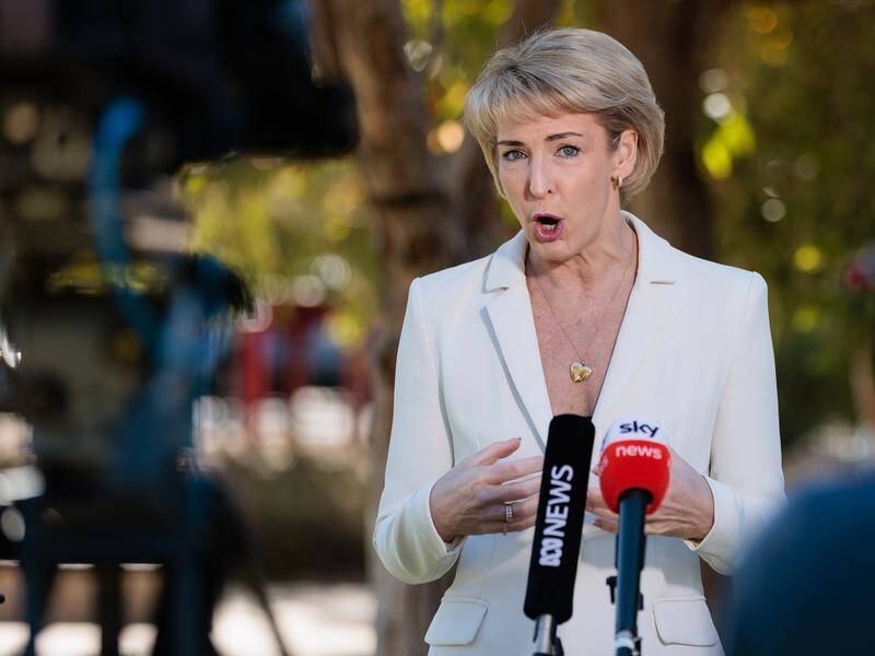 The coalition's Michaelia Cash says 'it's the perfect time' for an audit of Indigenous spending. (Richard Wainwright/AAP PHOTOS)