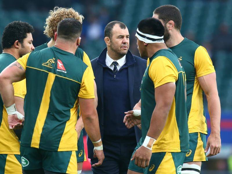 Wallabies coach Michael Cheika is trialing his World Cup game plan with school and colts teams.