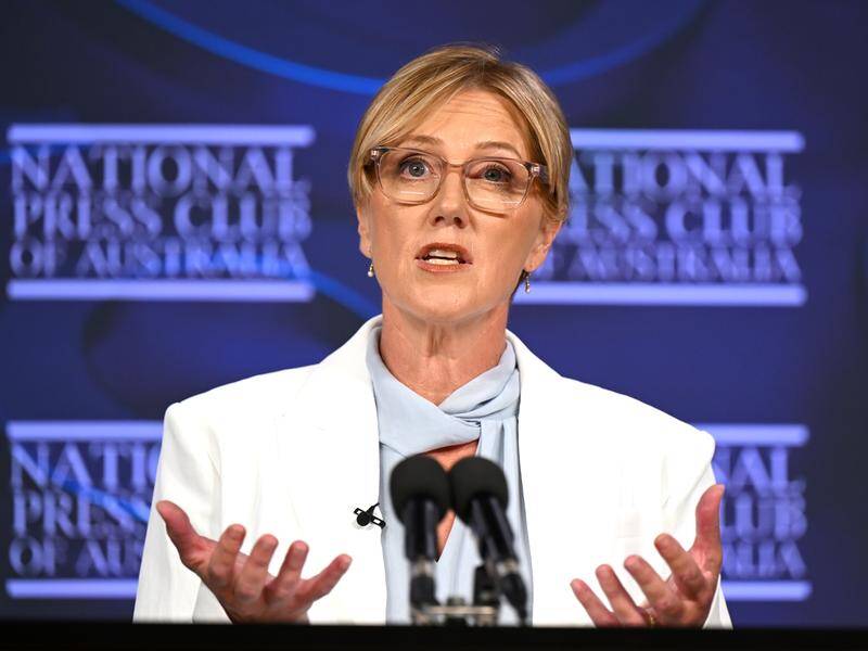 Independent Zoe Daniel is yet to decide which party to back to form government in a hung parliament. Photo: Lukas Coch/AAP PHOTOS Independent Zoe Daniel is yet to decide which party to back to form government in a hung parliament. Photo: Lukas Coch/AAP PHOTOS