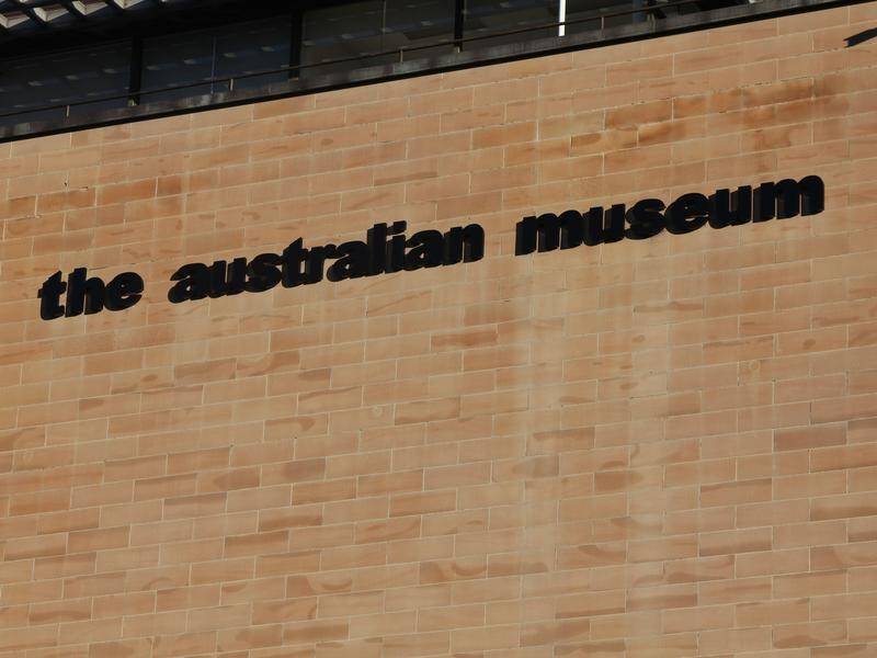 Entry to the reopened Australian Museum will be free for visitors until the end of June.