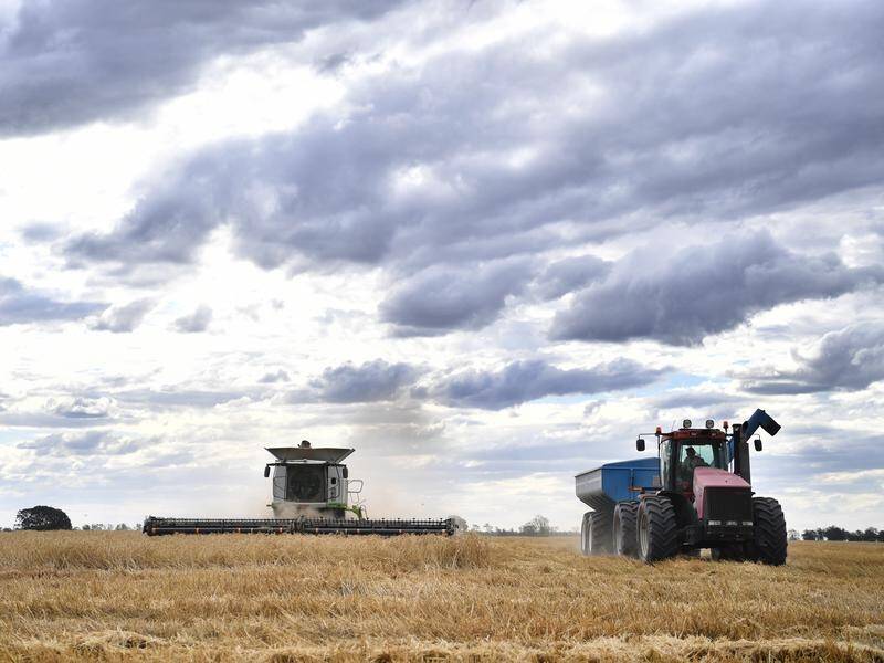 A report has found 74 per cent of farmers believe there are many or unlimited opportunities ahead. (Dean Lewins/AAP PHOTOS)
