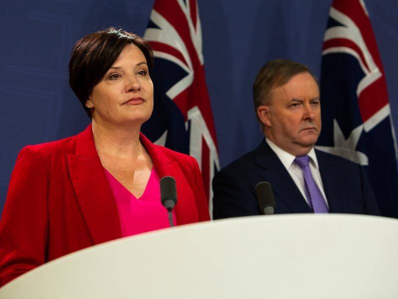 Jodi McKay and Anthony Albanese have welcomed the findings of a review into NSW Labor.