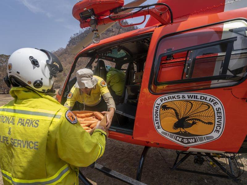 NSW National Parks and Wildlife Service is getting an extra helicopter to help with firefighting.