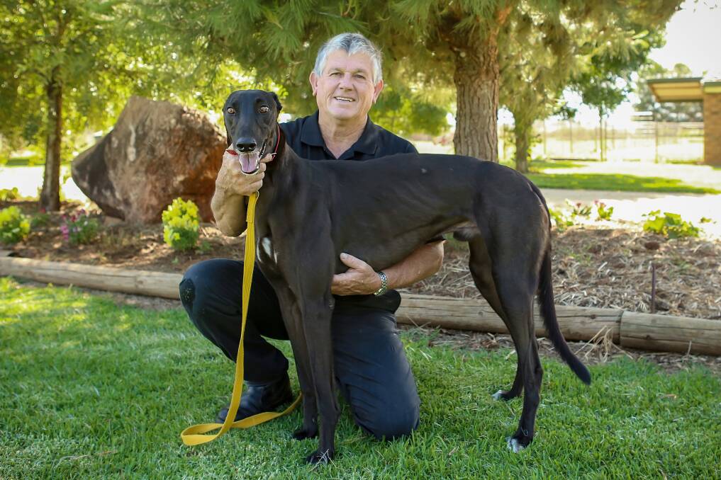 STAR OF THE SHOW: Forbes greyhound trainer Jack Smith with sprinter Jungle Deuce. Picture: SUSAN HERBERT. 