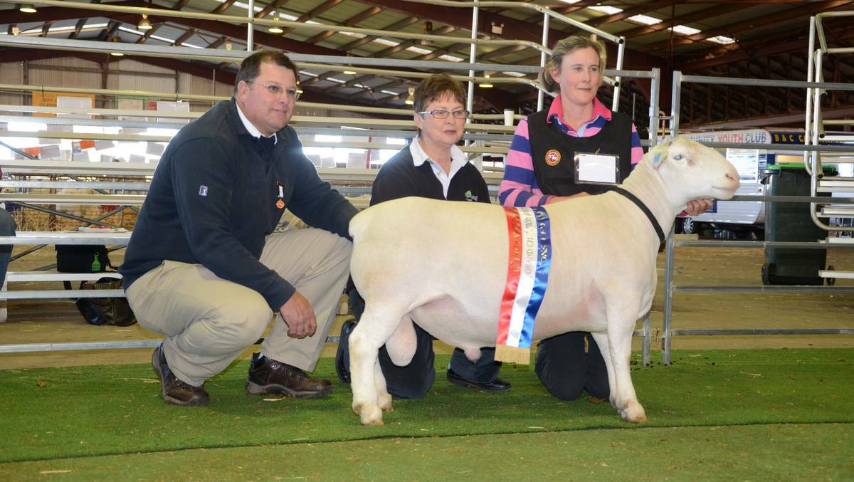 Grand Champion White Dorper was won by Dumisa 120441 from Dell Dorper Stud, pictured here with (from left) judge Webber Scheun, South Africa, Margaret Brown, Aussie Rural and Andrea van Niekerk, Dell Dorper Stud, Moama, NSW. PHOTO: TAYLOR JURD
