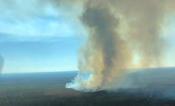 PHOTOS: The Goonoo Forest bushfire near Dubbo