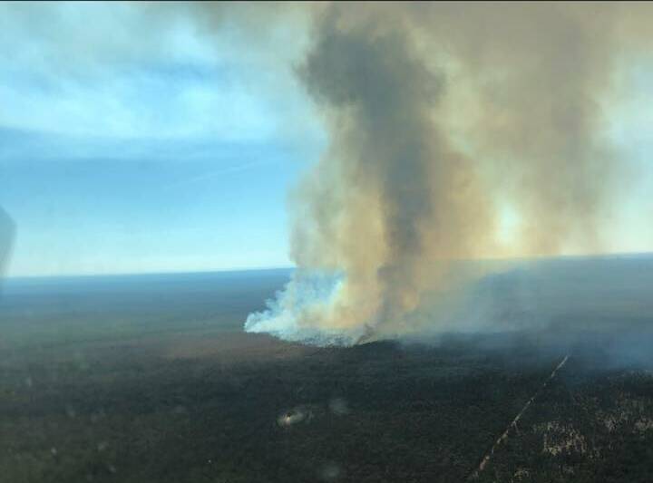 PHOTOS: Out-of-control bushfire burning at Goonoo Forest